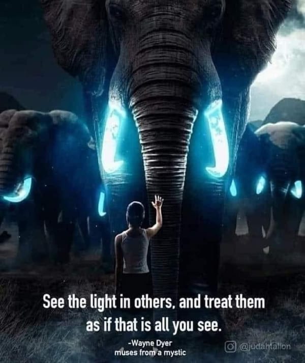 See the light in others, and threat them as if that is all you see.